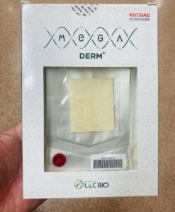 Megaderm - Sự đột phá trong công nghệ mô sinh học da nhân tạo